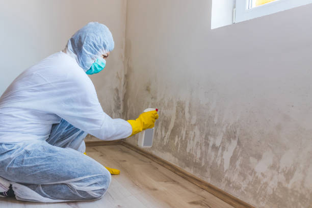 Licensed Bathroom Mold Removal service in Little Silver, NJ - WQB Mold Removal