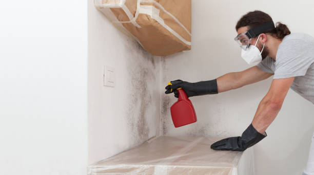 Professional Bathroom Mold Removal technician working in Little Silver, NJ