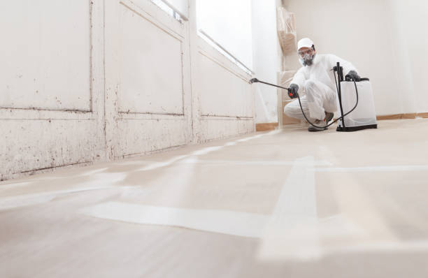 24/7 Emergency Bathroom Mold Removal experts in Little Silver, NJ