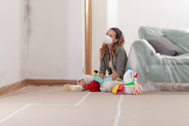 Reliable Bathroom Mold Removal contractor in Little Silver, NJ by WQB Mold Removal
